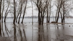Чи загрожують Україні паводки навесні 2026 року: інтерв’ю з ученим-гідрометеорологом Юрієм Набиванцем