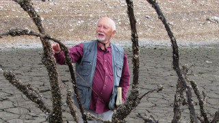 Академік НАН України Яків Дідух про майбутнє Каховського водосховища