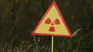 В Інституті експериментальної патології, онкології і радіобіології імені Р.Є. Кавецького обговорили медико-біологічні наслідки Чорнобиля через 40 років після аварії