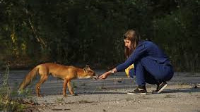 Зоолог Віталій Смаголь в інтерв’ю для РБК-Україна:  як війна впливає на тварин і чому дикі звірі з’являються у містах