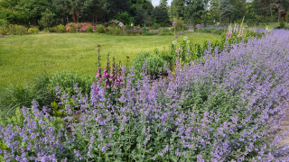 У київському академічному ботсаду провели семінар з нагоди Міжнародного дня залучення до науки заради сталого розвитку