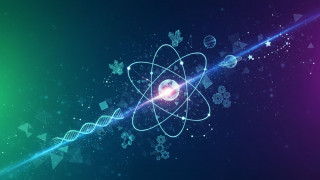 Установи НАН України проведуть низку заходів з нагоди Міжнародного дня залучення до науки заради сталого розвитку