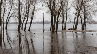 Чи загрожують Україні паводки навесні 2026 року: інтерв’ю з ученим-гідрометеорологом Юрієм Набиванцем