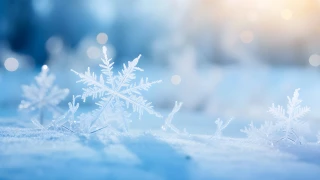 З цією зимою все (не) так. Чому в Україну повернулися «справжні» морози та що буде далі: інтерв’ю метеоролога Віри Балабух «УП. Життя»