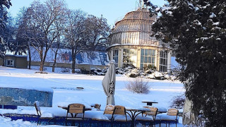 Як у Національному ботанічному саду імені М. М. Гришка НАН України зберігають тропічні колекції взимку