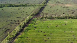 Уперше в Україні науковці Інституту ботаніки ім. М.Г. Холодного НАН України дослідили вплив ракетних ударів на сільськогосподарські ґрунти