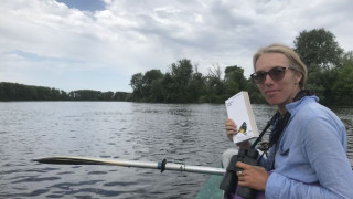 Куди зникають горобці, як ворони запам’ятовують ворогів і чому папуги можуть «говорити»: інтерв’ю орнітологині НАН України