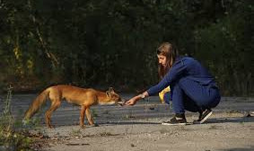 Зоолог Віталій Смаголь в інтерв’ю для РБК-Україна:  як війна впливає на тварин і чому дикі звірі з’являються у містах