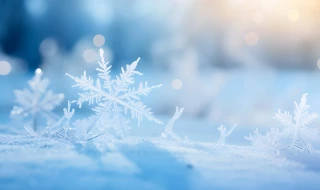 З цією зимою все (не) так. Чому в Україну повернулися «справжні» морози та що буде далі: інтерв’ю метеоролога Віри Балабух «УП. Життя»