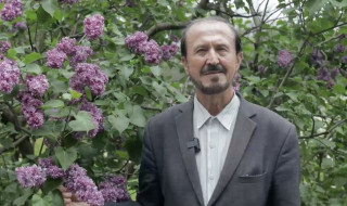У Національному ботанічному саду імені М.М. Гришка НАН України розповіли про історію легендарного сирингарію та нові селекційні розробки