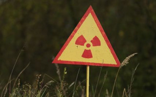 В Інституті експериментальної патології, онкології і радіобіології імені Р.Є. Кавецького обговорили медико-біологічні наслідки Чорнобиля через 40 років після аварії
