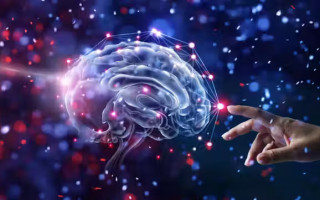 Гексагональні сітчасті комірки в мозку як синергетична проблема нейрофізіології, фізики та хімії (АНОНС)