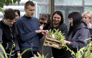 Як «співають» рослини. У київському академічному ботсаду започаткували медитативні екскурсії