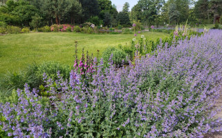 У київському академічному ботсаду провели семінар з нагоди Міжнародного дня залучення до науки заради сталого розвитку