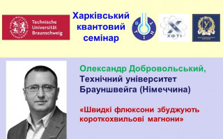 «Швидкі флюксони збуджують короткохвильові магнони» – тема чергової лекції «Харківського квантового семінару» (АНОНС)