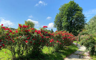 Відбулася всеукраїнська науково-практична конференція, присвячена об’єктам природно-заповідного фонду