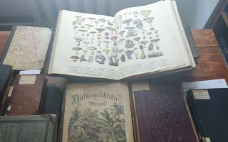 Оцифровано найцінніші книжки Наукової бібліотеки  Державного природознавчого музею НАН України