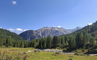 VI (XVIІ) Міжнародна конференція молодих учених «Наукові основи збереження біотичної різноманітності» (АНОНС)