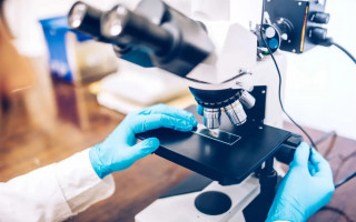Оголошено конкурс науково-дослідних робіт молодих вчених НАН України на 2025-2026 рр.