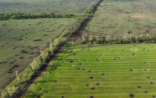 Уперше в Україні науковці Інституту ботаніки ім. М.Г. Холодного НАН України дослідили вплив ракетних ударів на сільськогосподарські ґрунти