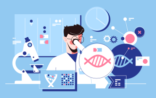 Оголошено конкурси на здобуття стипендій Президента України та НАН України для молодих вчених